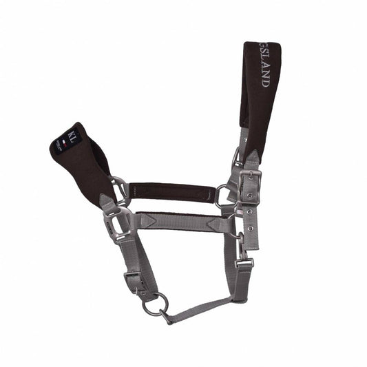 Kingsland Bartolo Halter