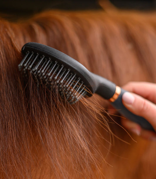 Waldhausen Mane brush gel handle