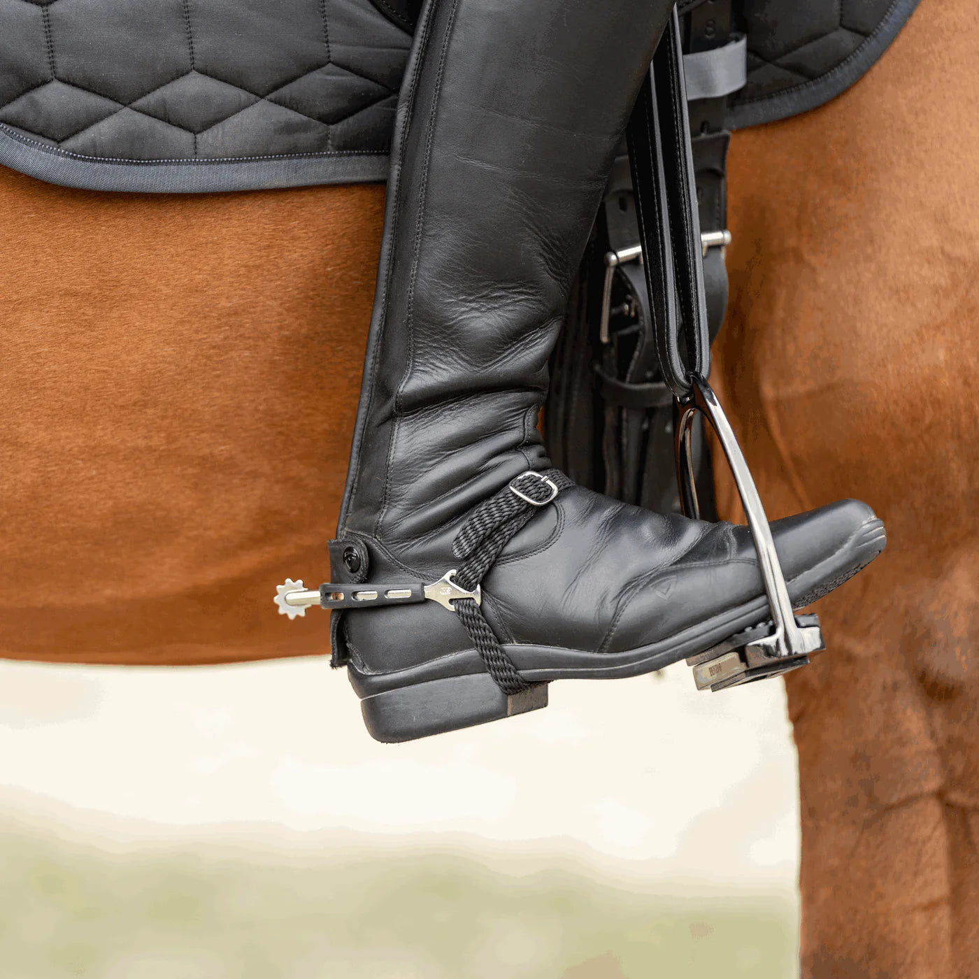 Sprenger Spurs Ultra Fit Extra Grip,ST30MM with Rowel