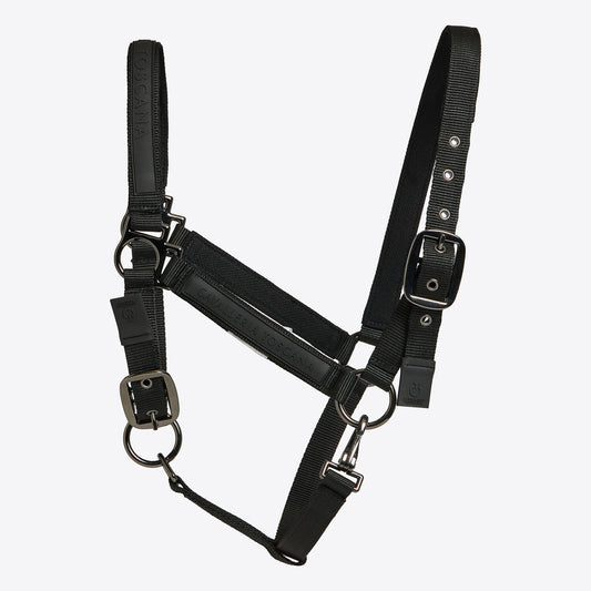 Cavalleria Toscana Halter with Buckle and Rope