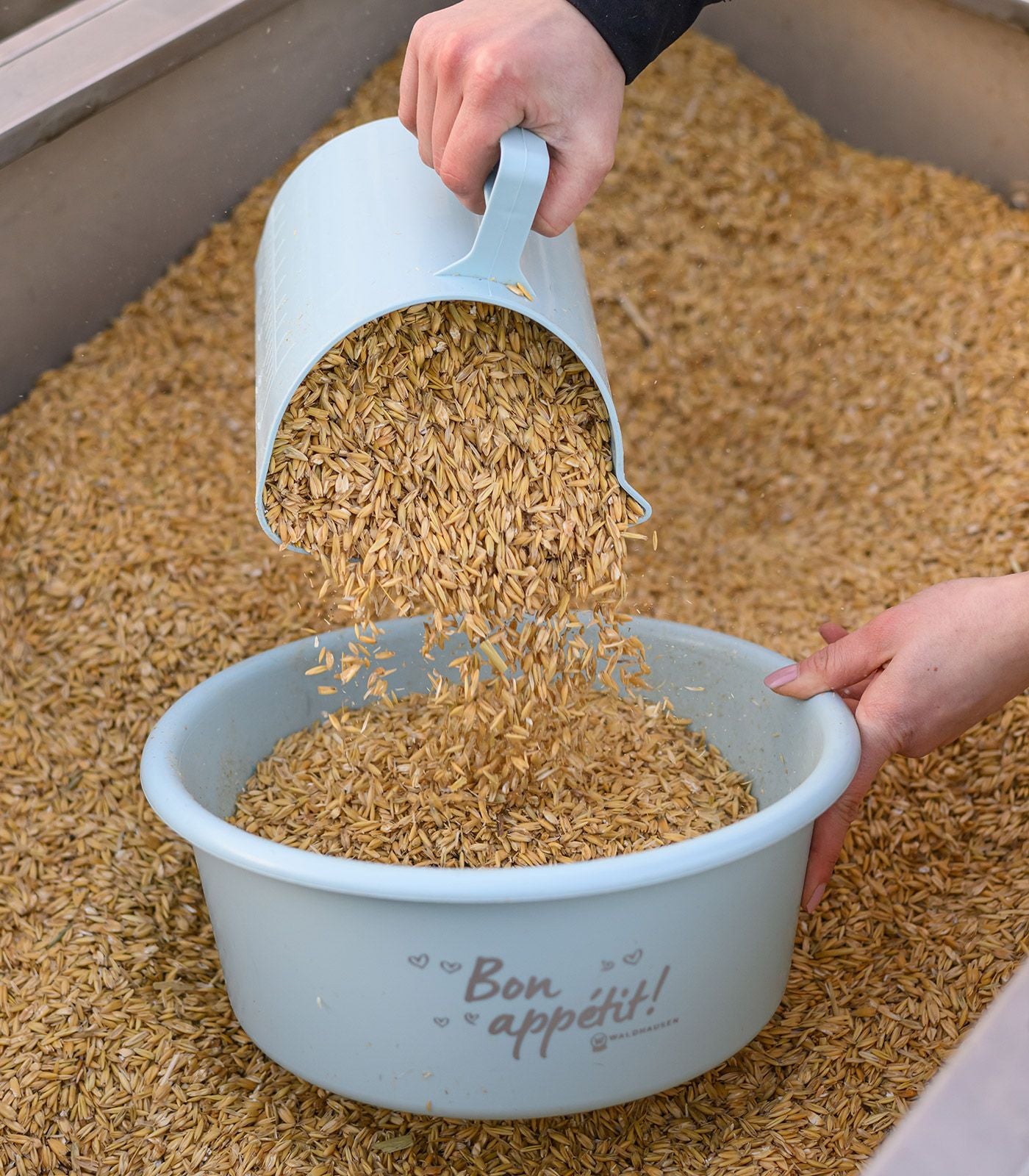 Waldhausen Feed Scoop