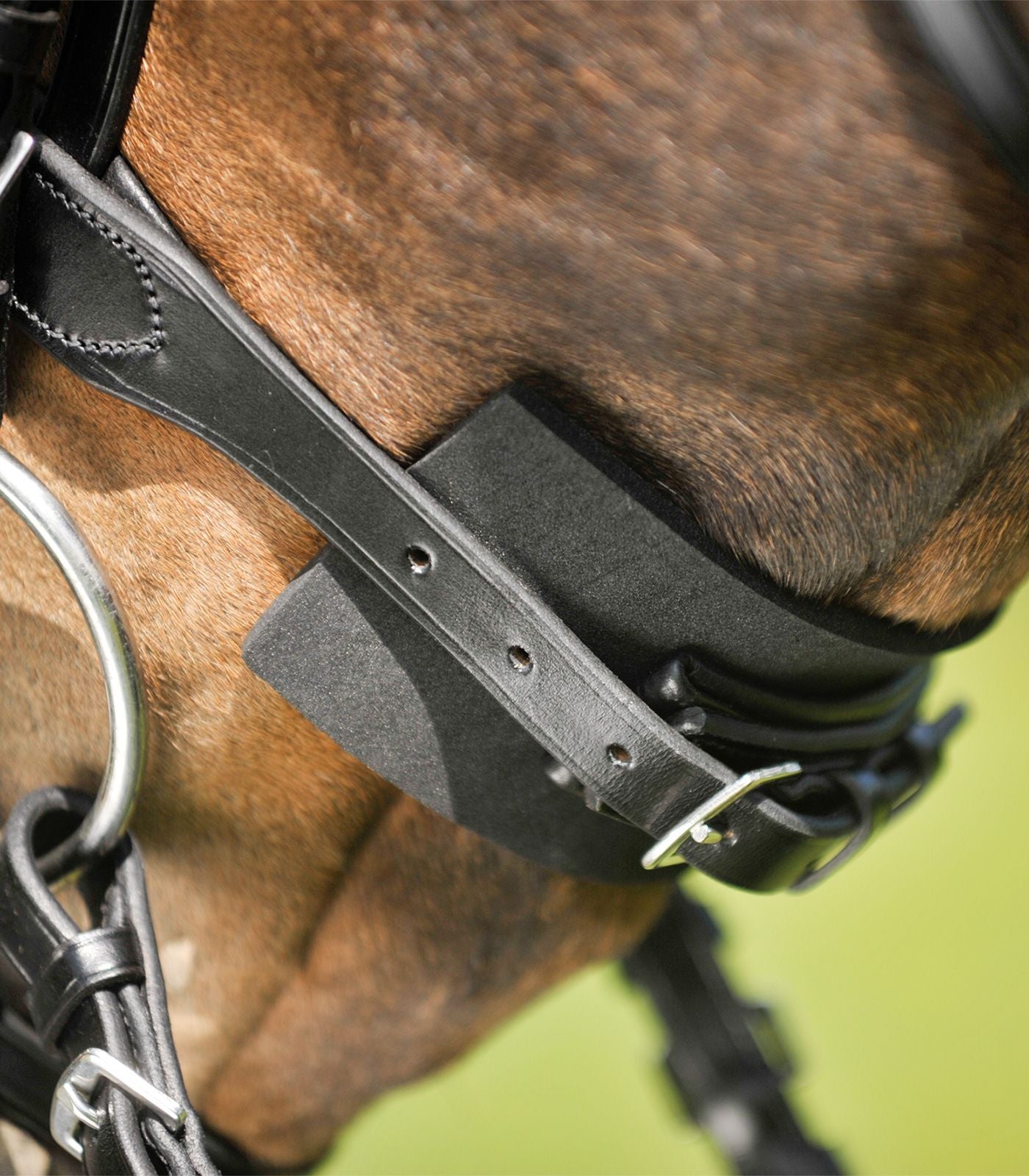 Waldhausen Bridle pad