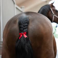 Kingsland KLHadleigh Red Tailcoat