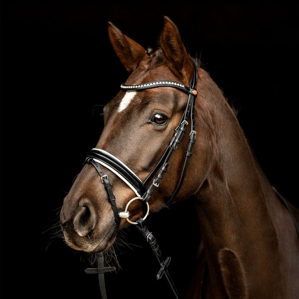 KIEFFER Snaffle bridle COMFORT LYON