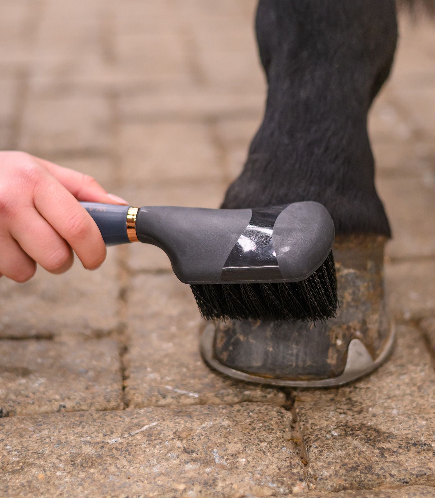 Waldhausen Bucket Brush with gel handle