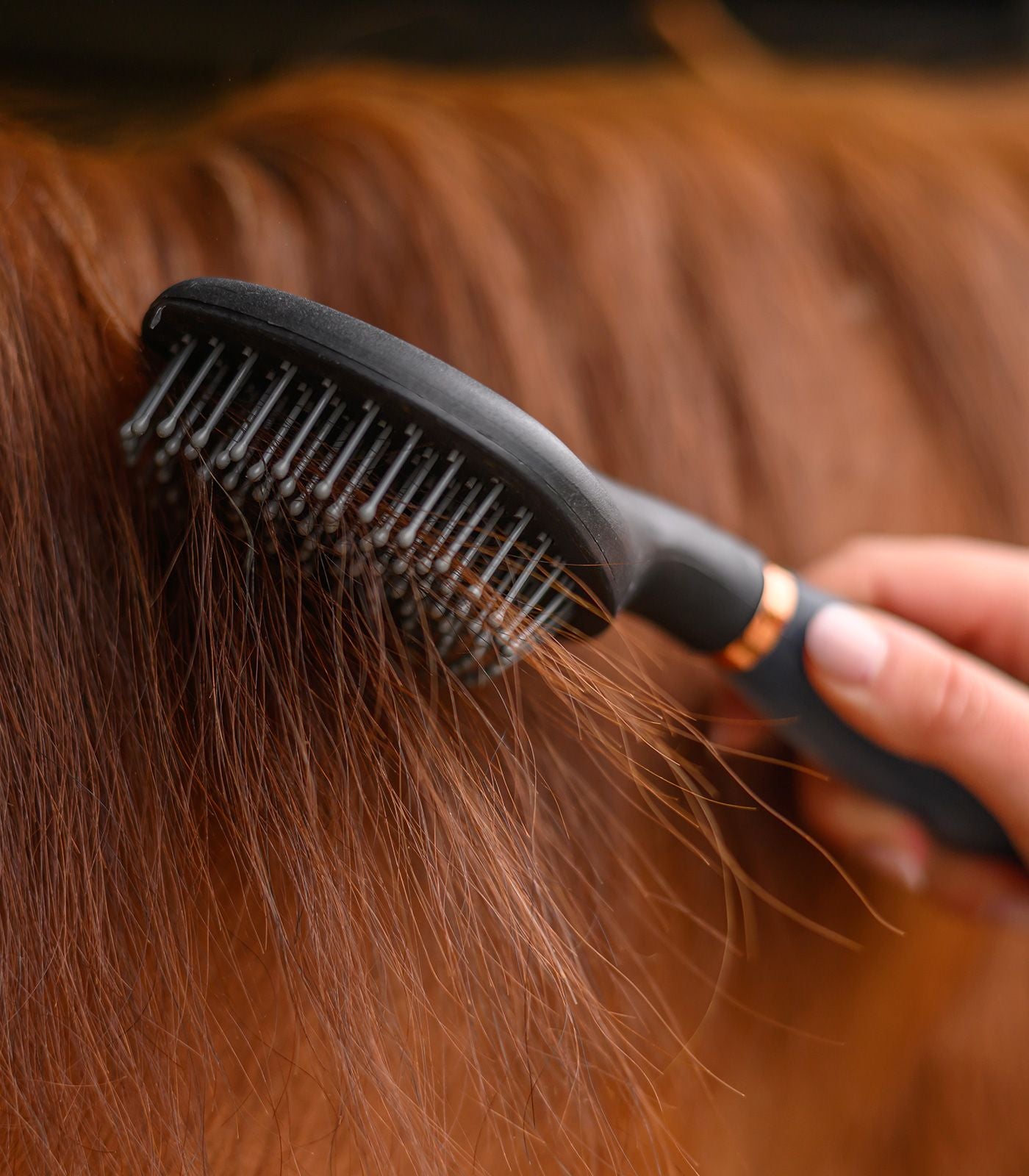 Waldhausen Mane brush gel handle