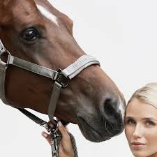 Eskadron Headcollar Classic Sports