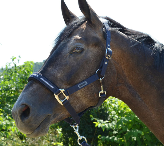 Eskadron FOCUS Headcollar