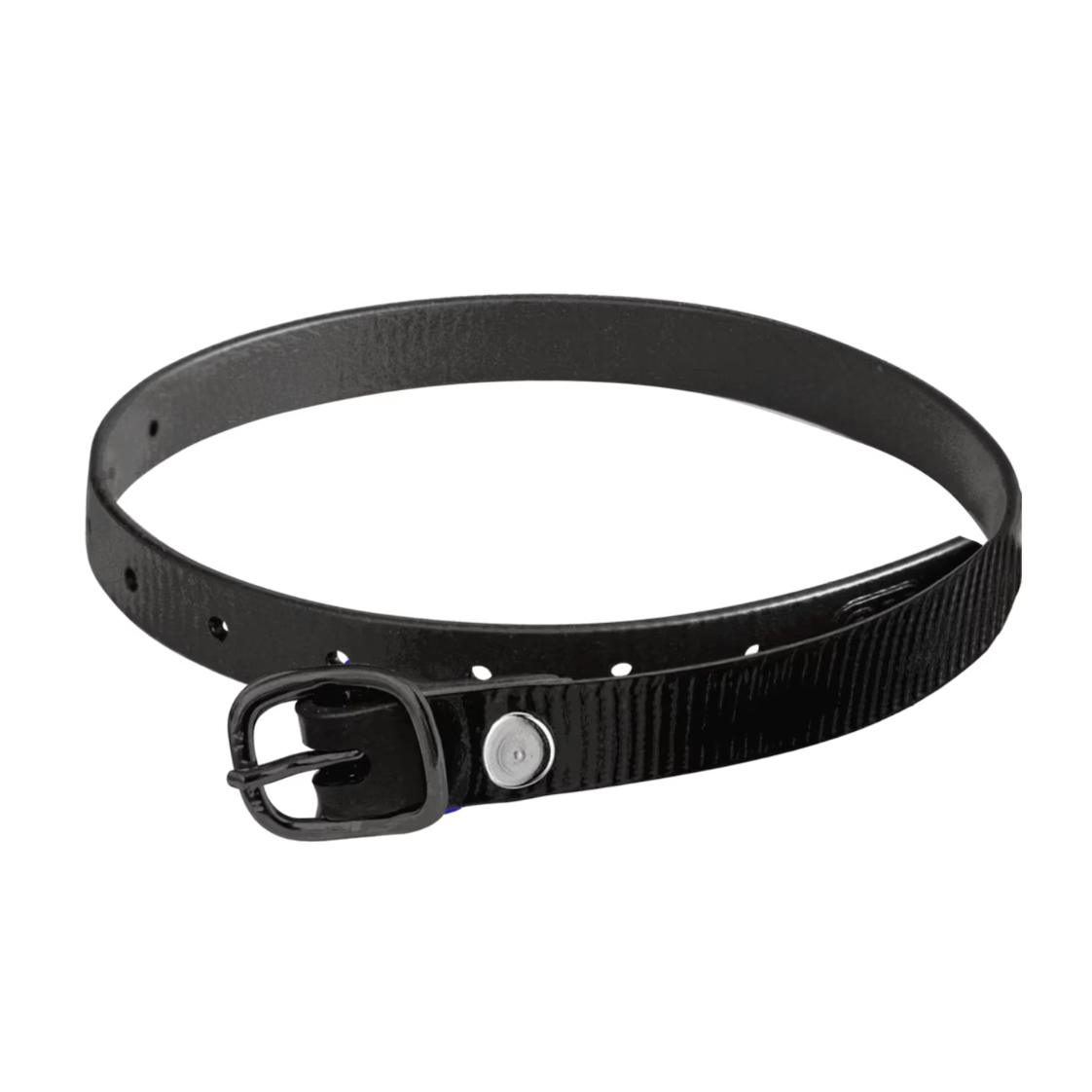 Sprenger Spur Straps Glossy Biothane Black 45Cm W.Buckle