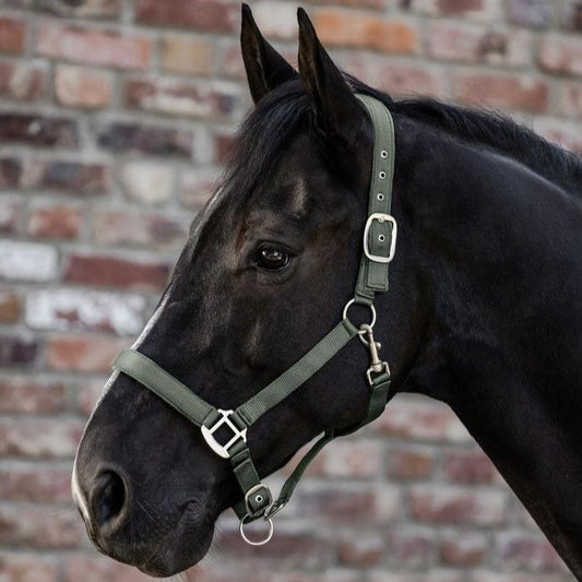 Waldhausen Perlon Halter Satin