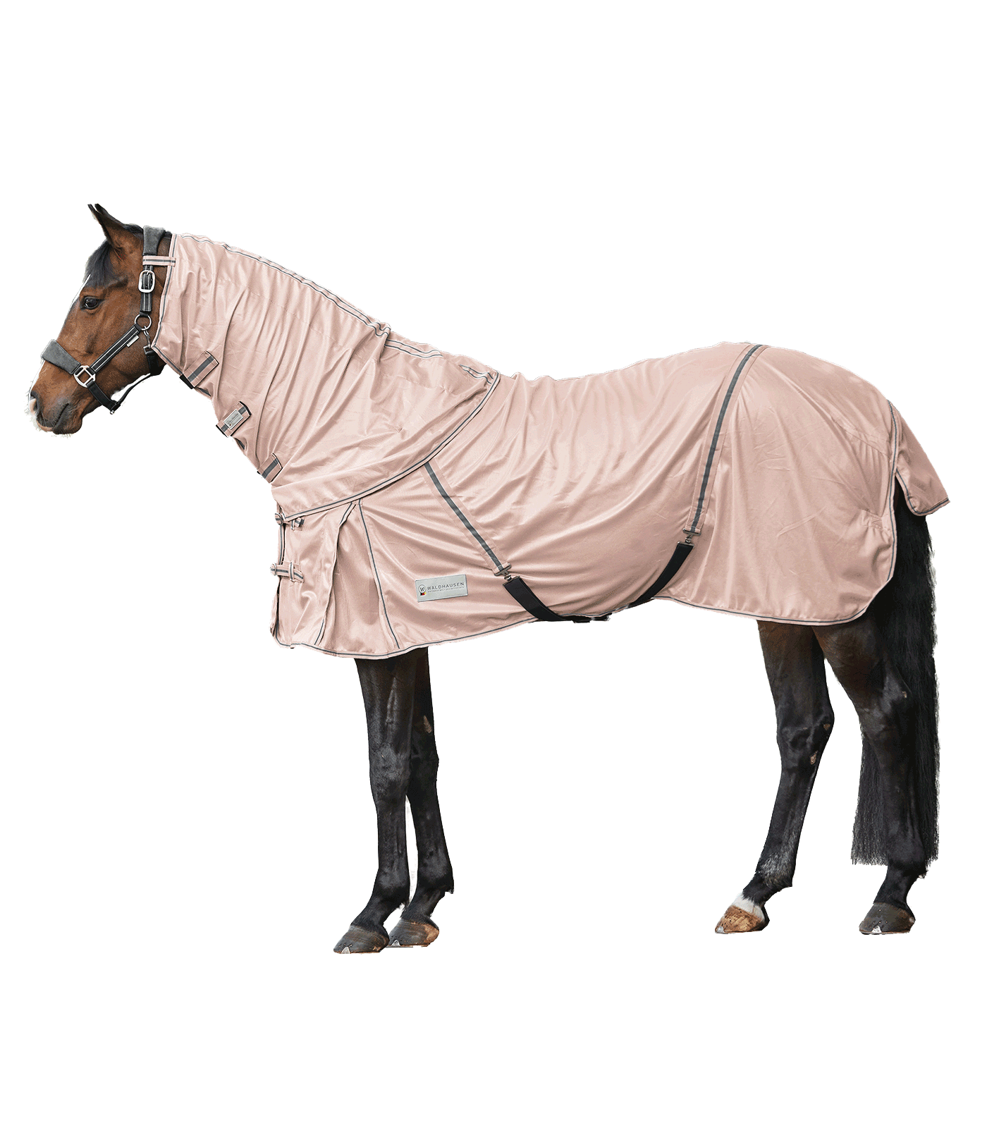 Waldhausen Fly Rug Protect, Removable Neck