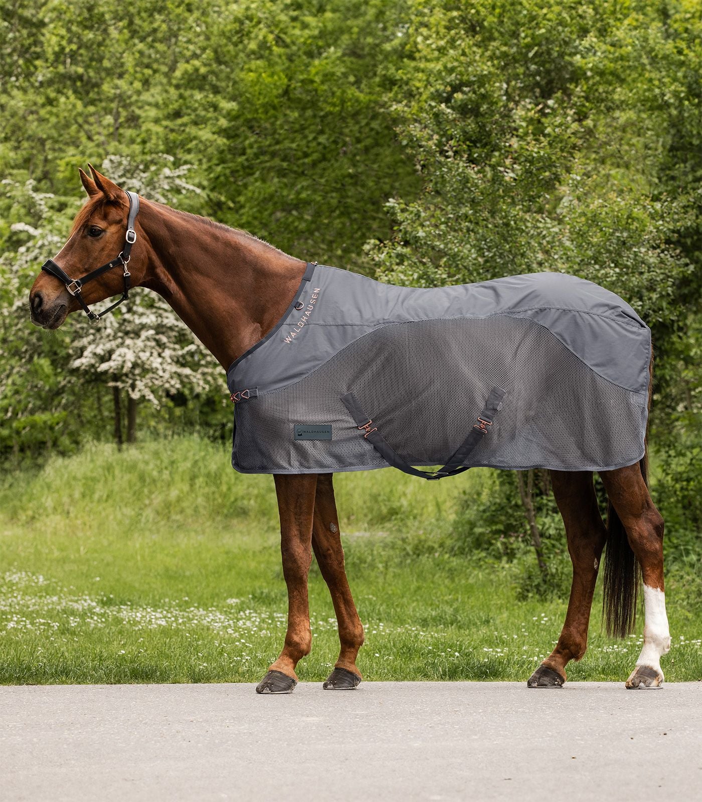 Waldhausen COMFORT Rainsheet Fly Rug