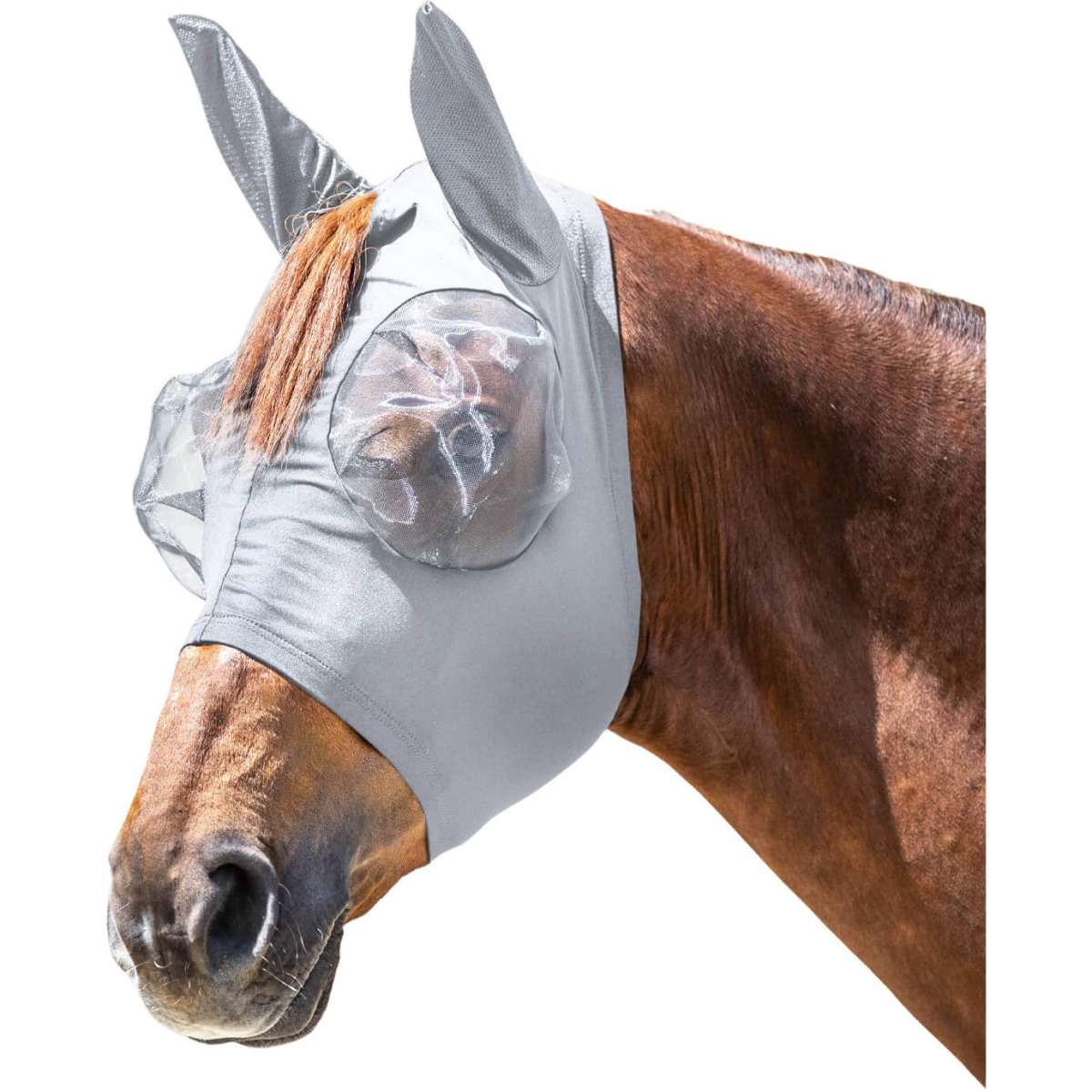 Waldhausen Puck Fly Mask