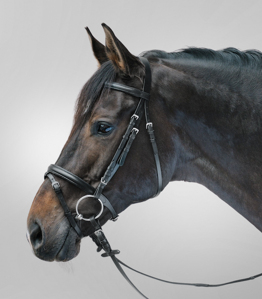 Waldhausen STAR Bridle Lifestyle