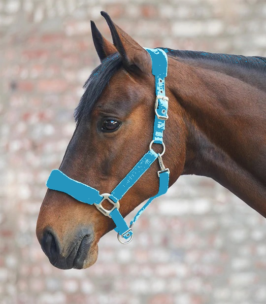 Waldhausen Premium Halter Soft