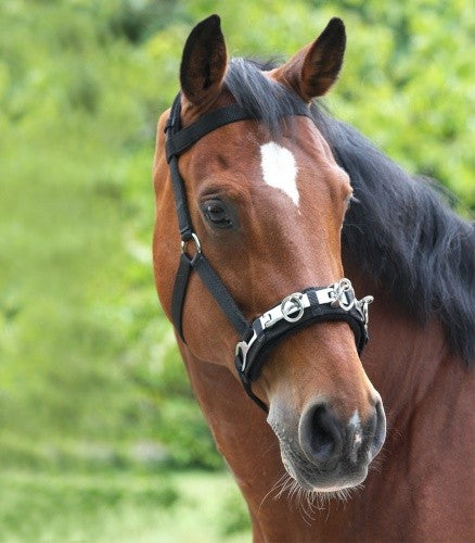 Waldhasen Nylon Lunge Cavesson