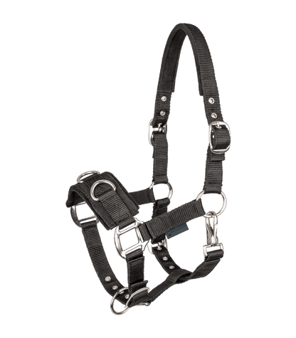 Waldhausen Economic Lunging Halter