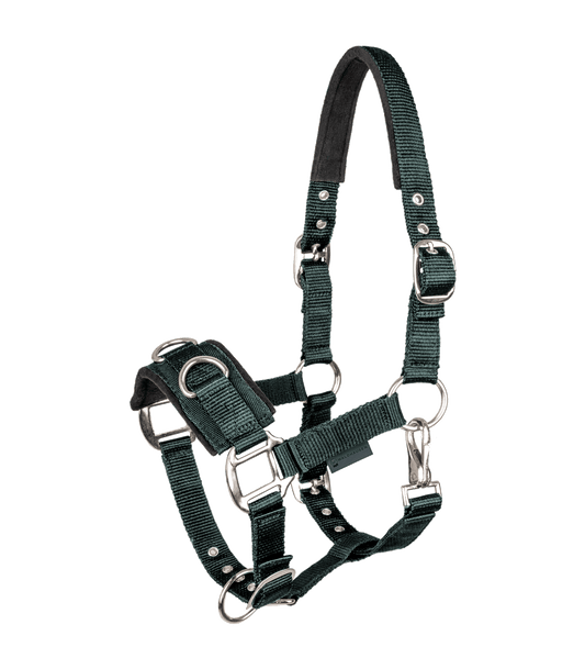 Waldhausen Economic Lunging Halter