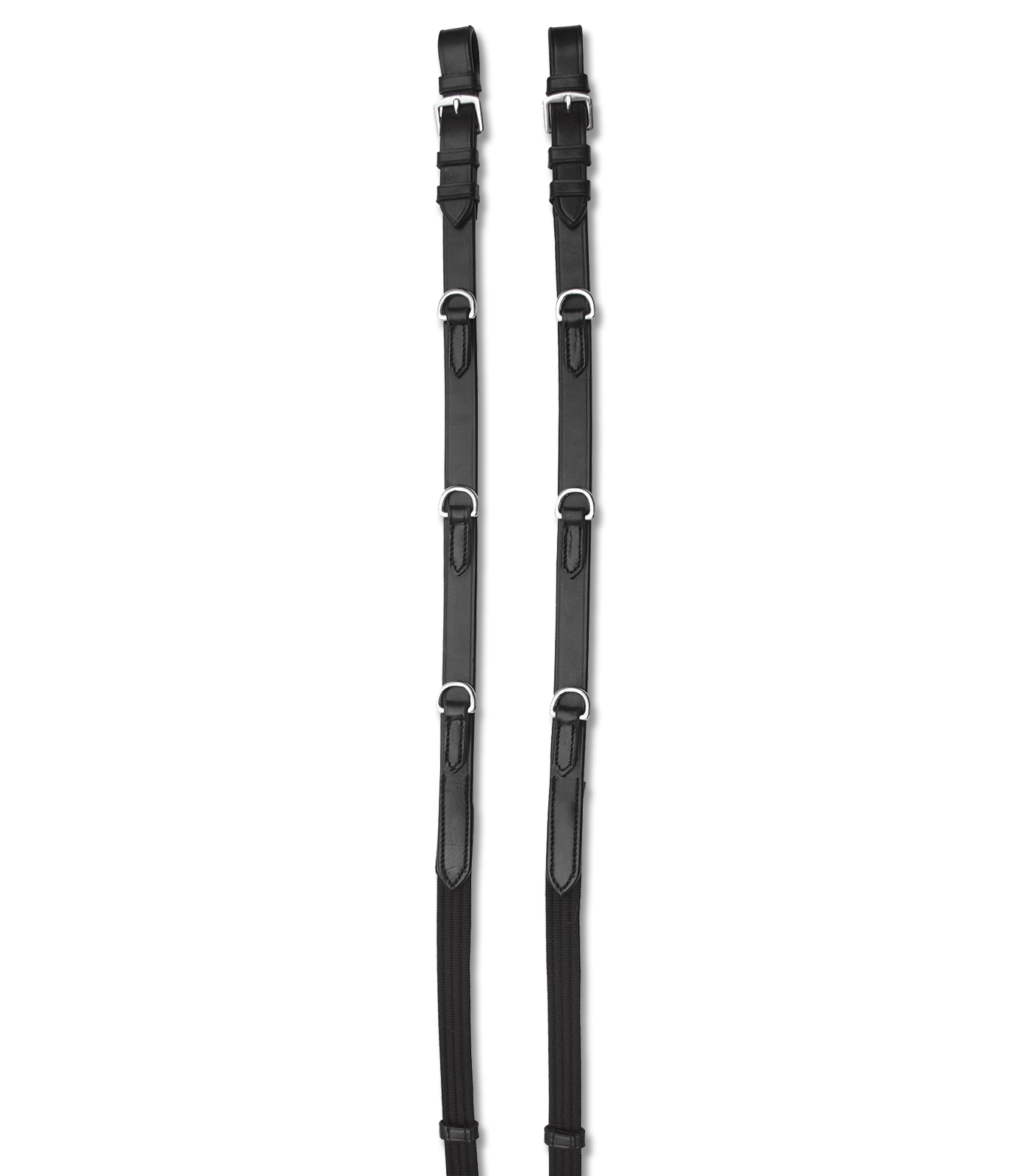 Waldhausen Thiedemann Reins Star