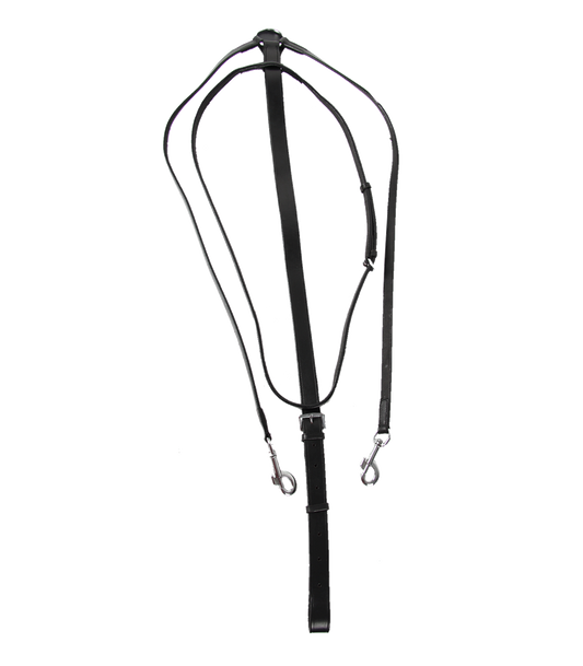 Waldhausen Thiedemann Martingle Star