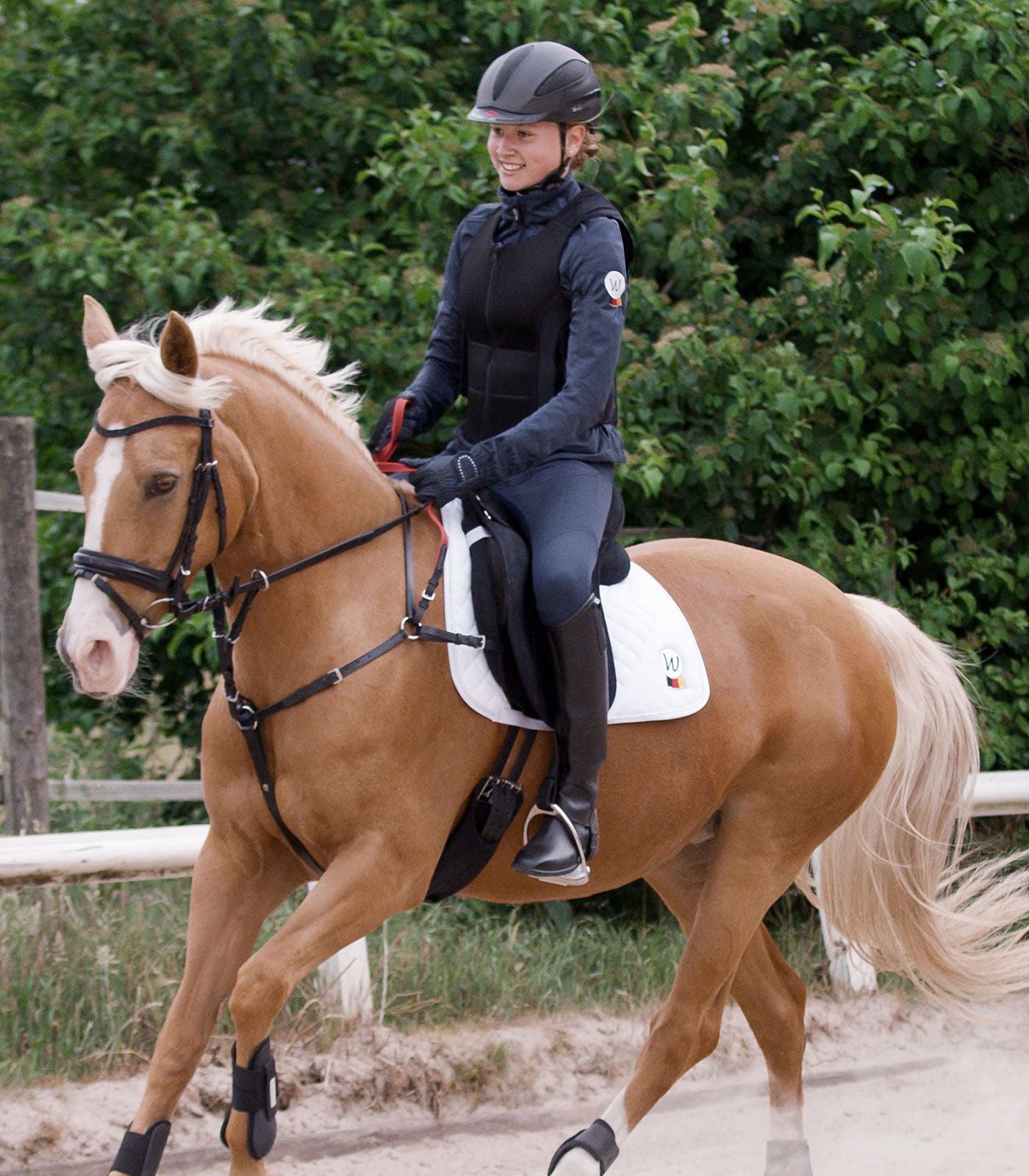 Waldhausen Breastplate with Safety Rein