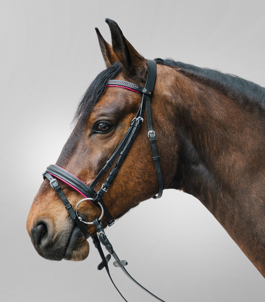 Waldhausen STAR Snaffle Bridle Diamond
