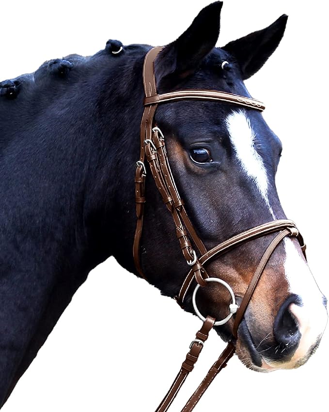 Waldhausen Bridle X-Line Santander Comb. Noseband
