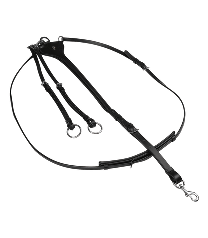 Waldhausen X-Line Martingale, Professional