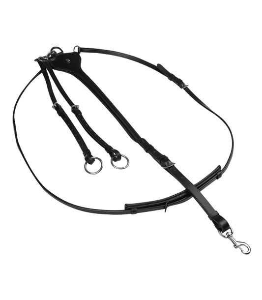 Waldhausen X-Line Martingale, Professional