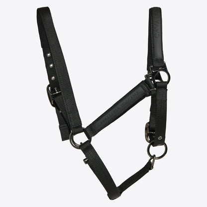Cavalleria Toscana Halter with Buckle and Rope