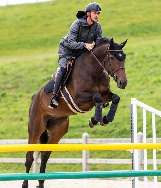 Horse Pilot Horse earnets