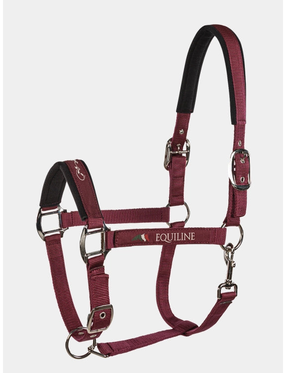 Equiline Halter Timmy