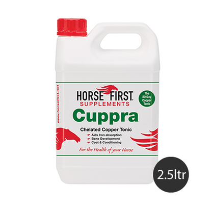 Horse First Cuppra