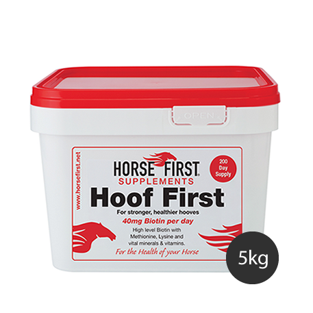 Horse First Hoof First