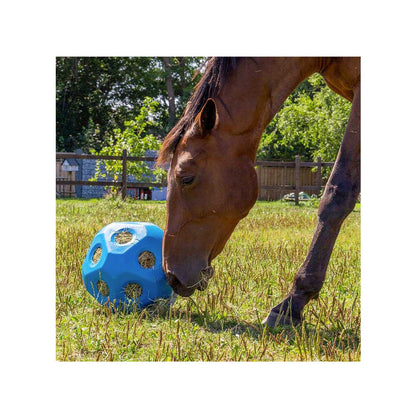 Kerbl Feed Ball Toy - Blue