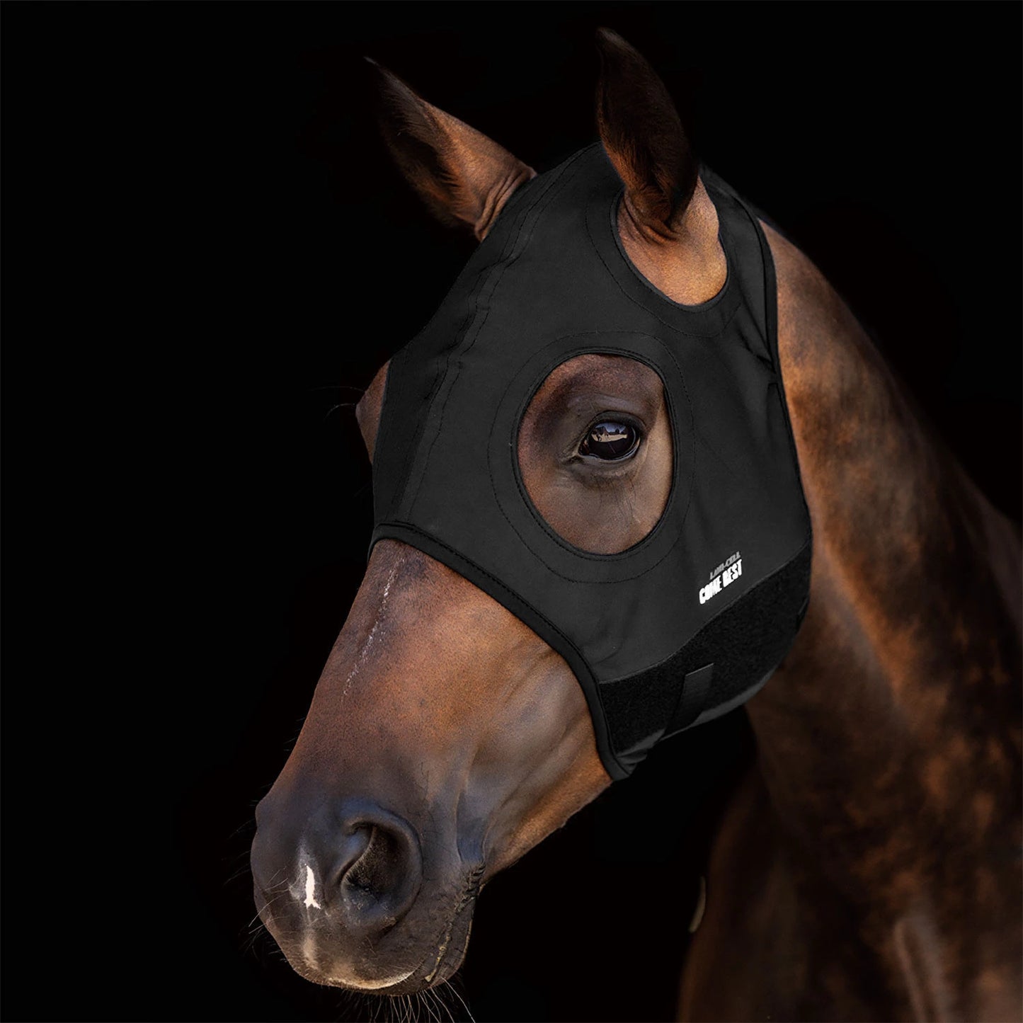 AmaHorse Titanium Mask Come Best No Ears