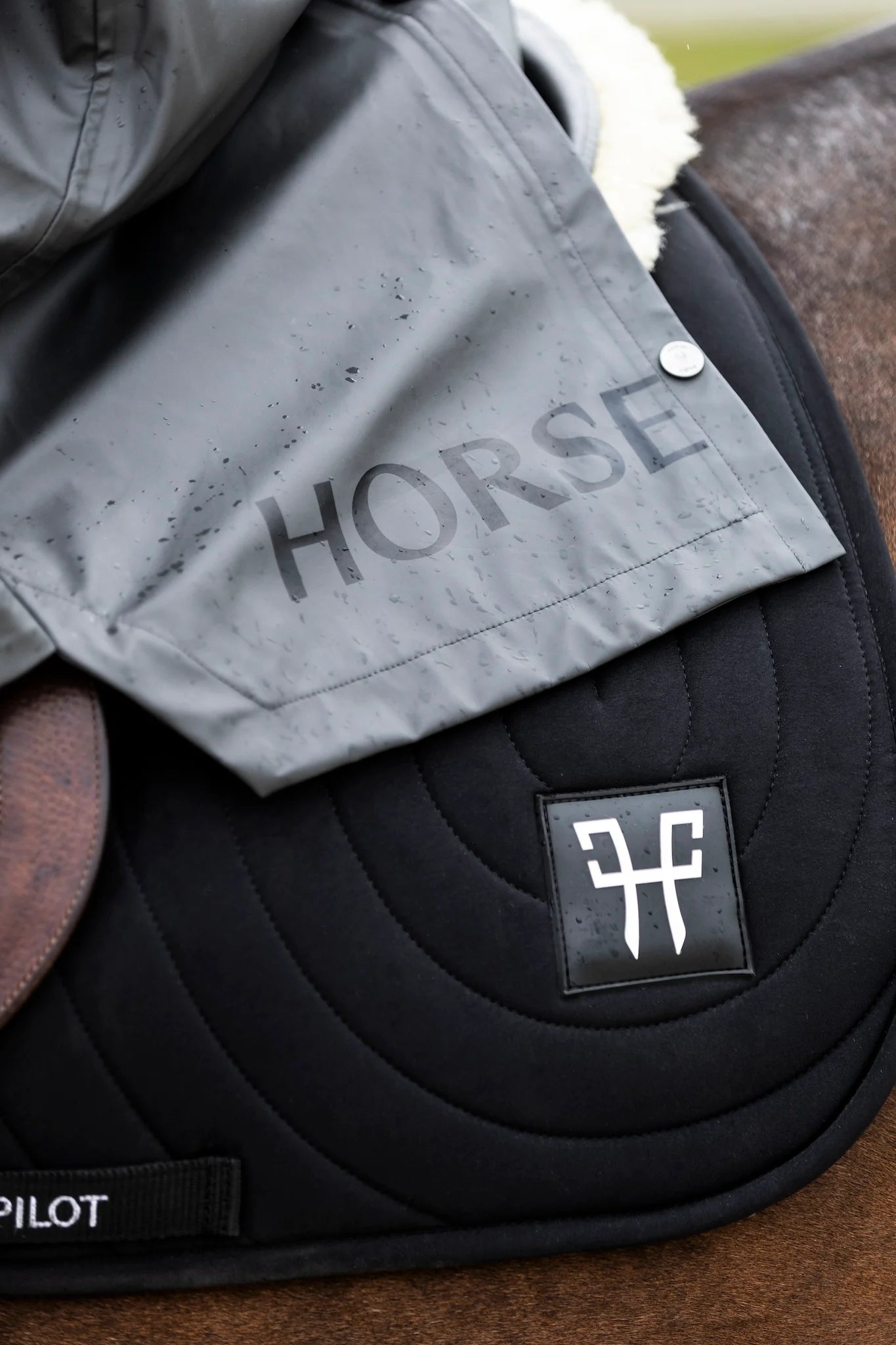 (Set) Horse Pilot Competition Riding Saddle Pad and Earnet