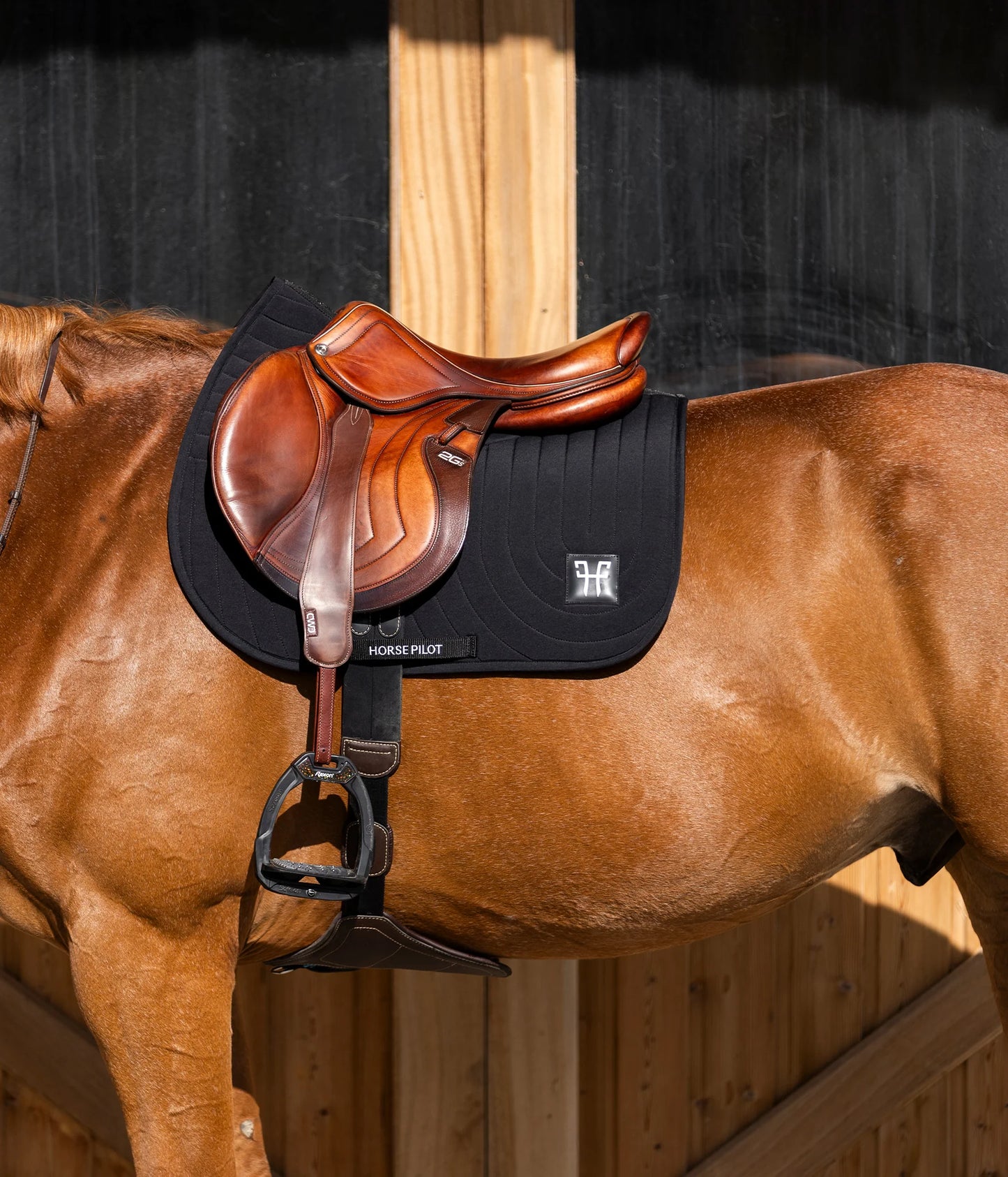 (Set) Horse Pilot Competition Riding Saddle Pad and Earnet