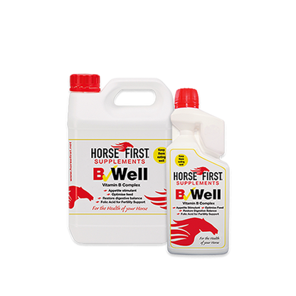 Horse First B-Well
