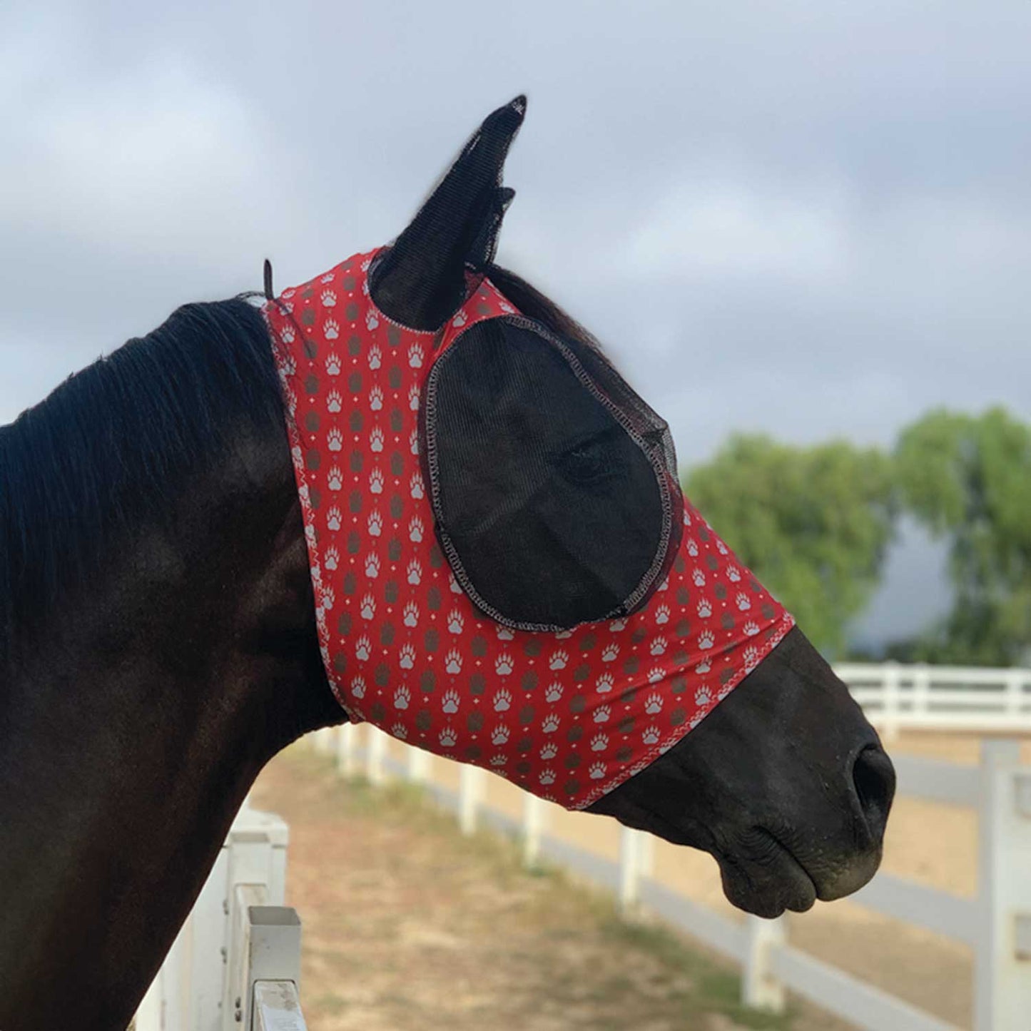 Amahorse PROFESSIONAL'S CHOICE COMFORTFIT FLY MASK