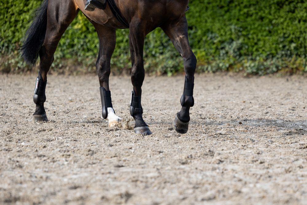 Eskadron Tendon Boots PROTECTION BOOTS F Core