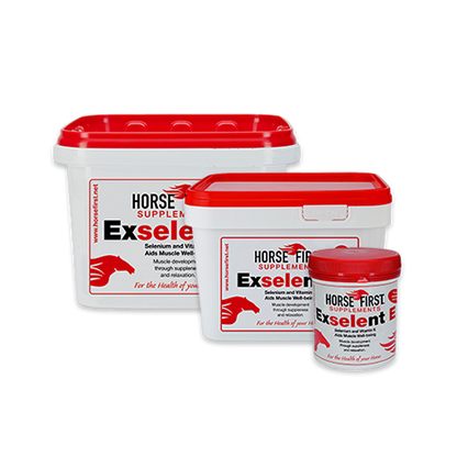 Horse First Exselent E