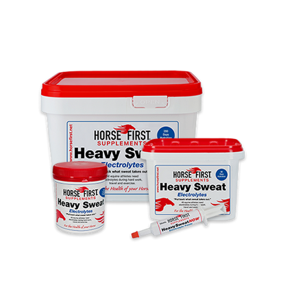 Horse First Heavy Sweat