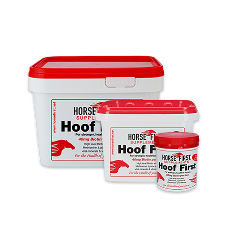 Horse First Hoof First