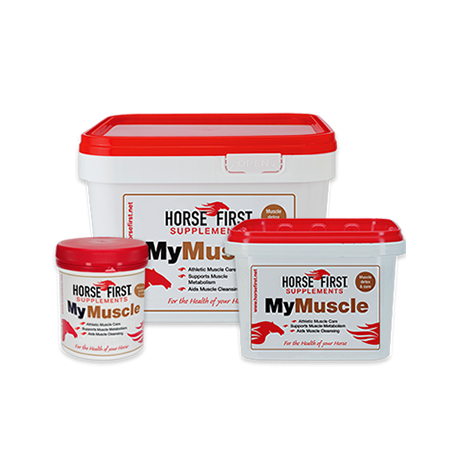 Horse First My Muscle